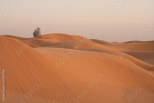 sand dunes in the desert