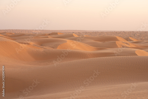 sand dunes in the desert © skazar