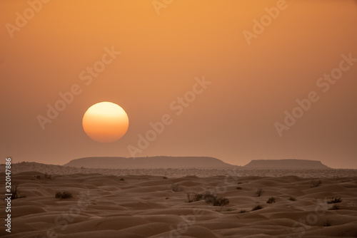 sunset in desert © skazar