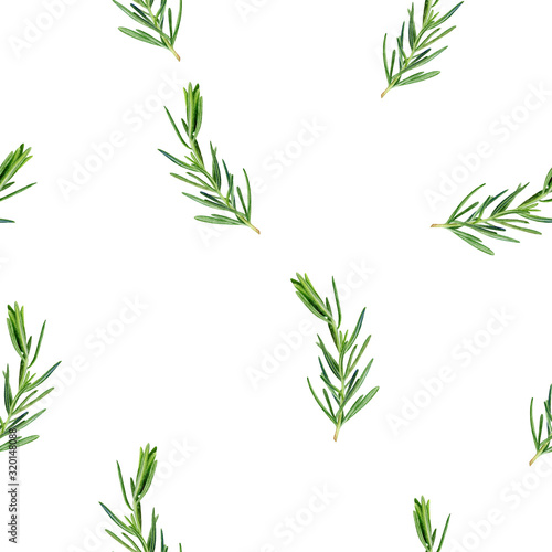 Rosemary watercolor illustration seamless pattern.