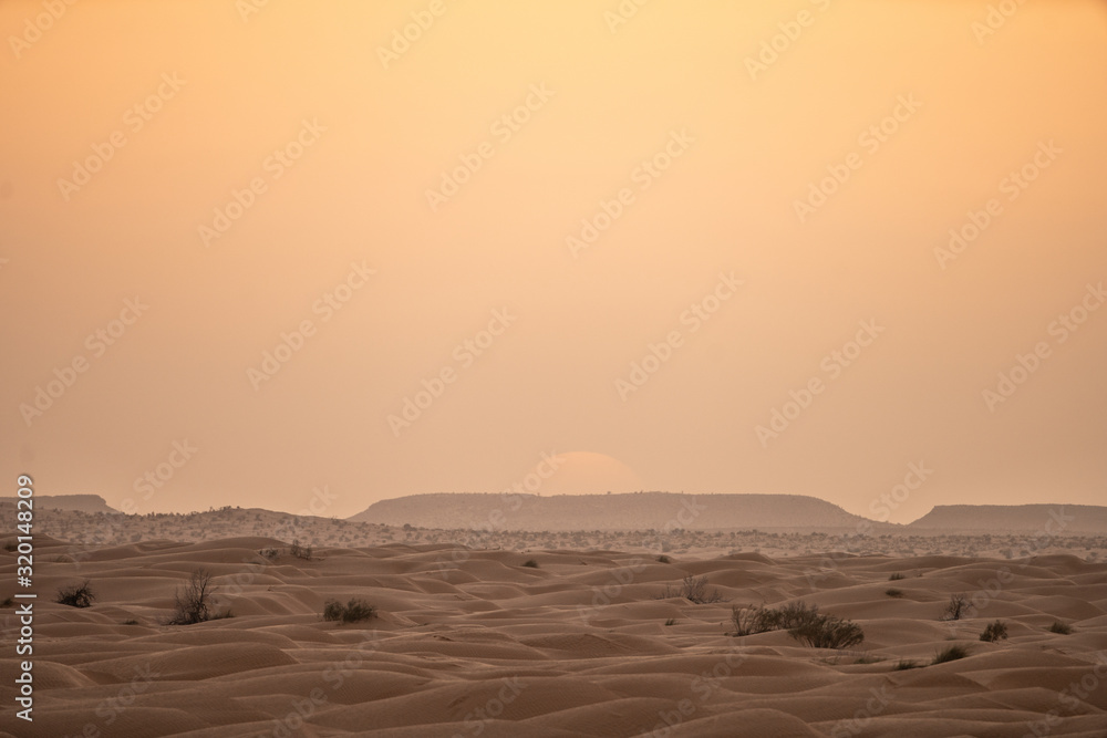 Fototapeta premium sand dunes in the desert