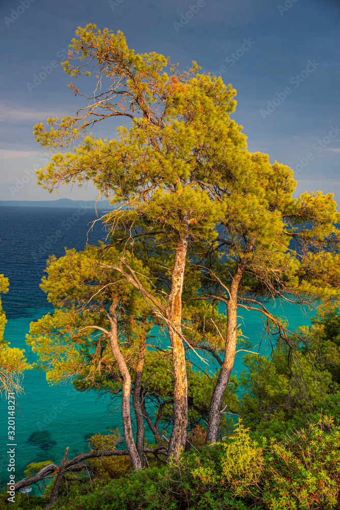 Sea landscape Sea landscape