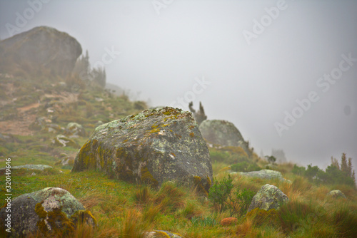 foggy meadow landscape in Huascarán National Park photo