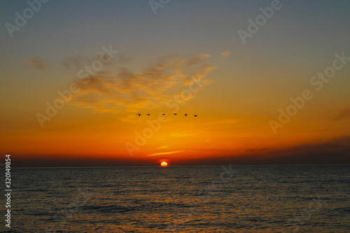 beautiful dawn on the sea  flight of ducks over the sea  ducks fly at dawn over the sea.