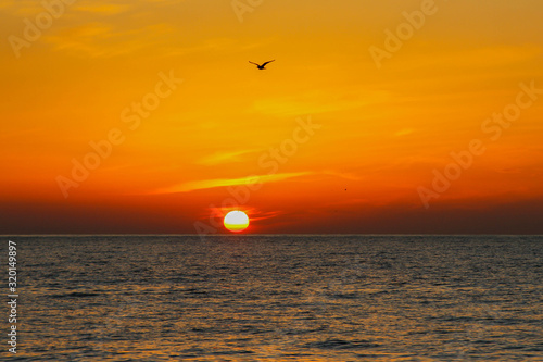 Fototapeta Naklejka Na Ścianę i Meble -  beautiful dawn on the sea, flight of ducks over the sea, ducks fly at dawn over the sea.