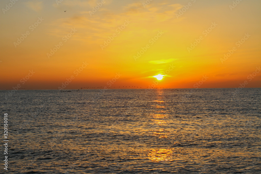 Obraz premium beautiful dawn on the sea, flight of ducks over the sea, ducks fly at dawn over the sea.