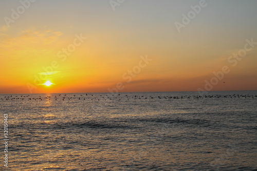 beautiful dawn on the sea, flight of ducks over the sea, ducks fly at dawn over the sea.