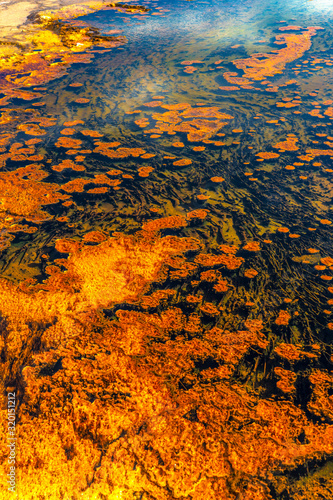 BISCUIT BASIN COLORFUL LANDSCAPES