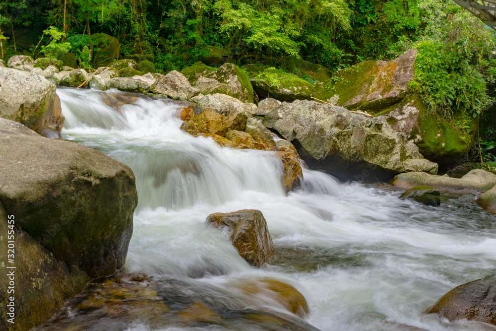 Fototapeta premium waterfall in forest