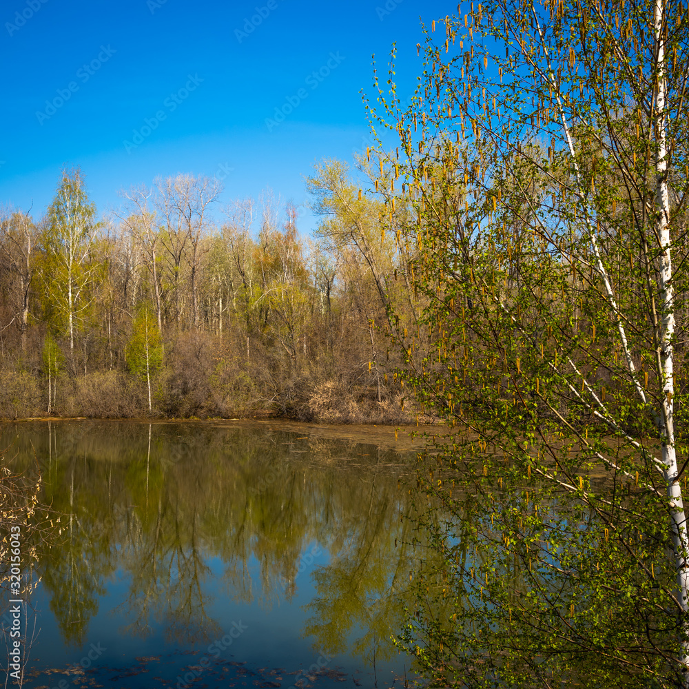 Spring landscape - forest lake in early spring with trees around it, reflecting in blue water on a bright sunny day Spring landscape - forest lake in early spring with trees around it, reflecting in blue water on a bright sunny day