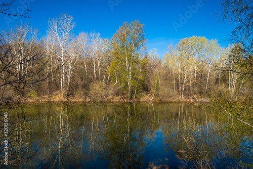 Spring landscape - forest lake in early spring with trees around it, reflecting in blue water on a bright sunny day © Stanislav Ostranitsa