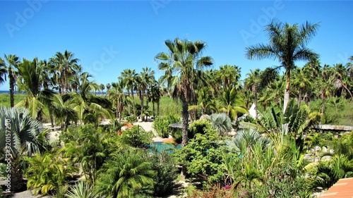 View of tropical beach 