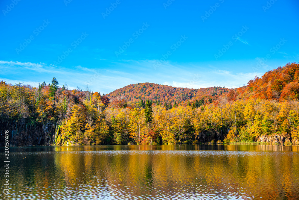 Autumn landscape 