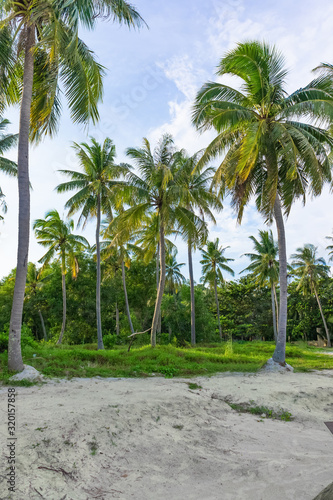 coconut palms on the shores of the south china sea. Bai sao beach, Phu Quoc, Vietnam © Andrii