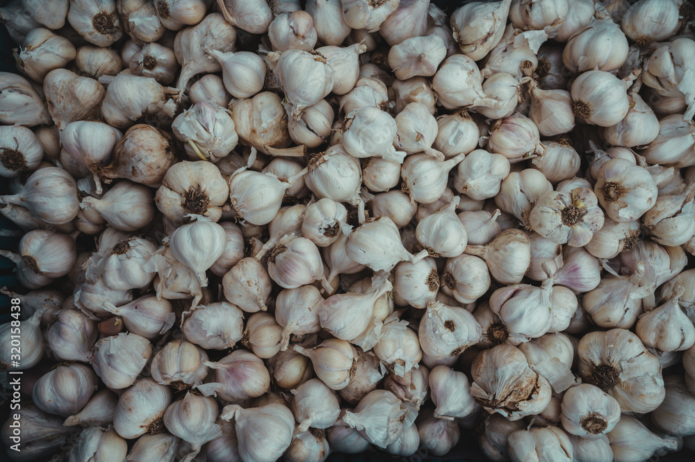 Garlic. Superior of many garlics. Garlic texture Garlic. Superior of many garlics. Garlic texture