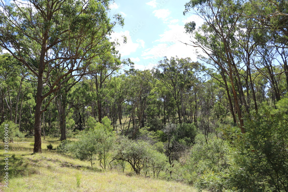 Oxley Wild Rivers National Park, New South Wales Australia Oxley Wild Rivers National Park, New South Wales Australia