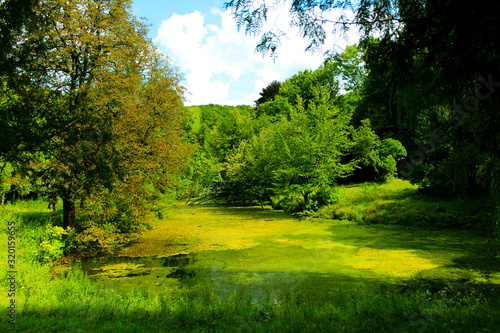 Abandoned overgrown pond in an old abandoned park.