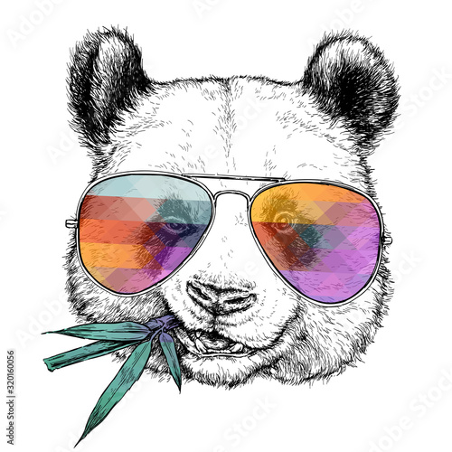 Hand drawn portrait of Funny Panda in glasses with bamboo branch. Vector illustration isolated on white