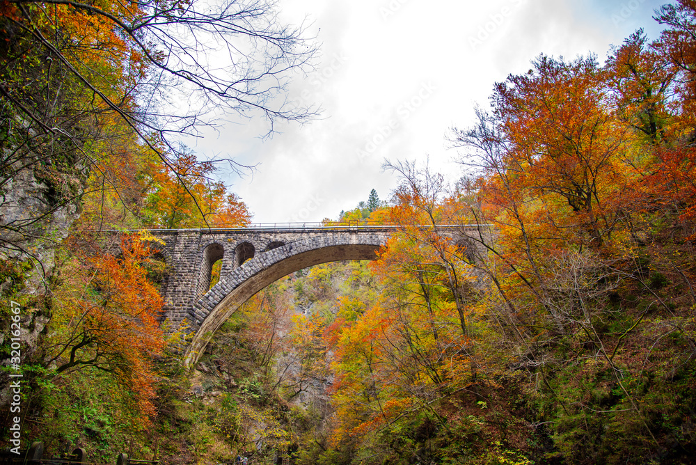 Autumn landscape in Vintgar gorge river, Slovenia Autumn landscape in Vintgar gorge river, Slovenia