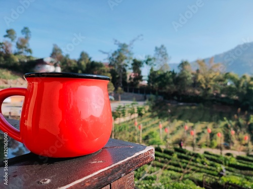pots in the garden © Nuchanad