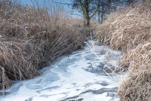 Frozen Creek