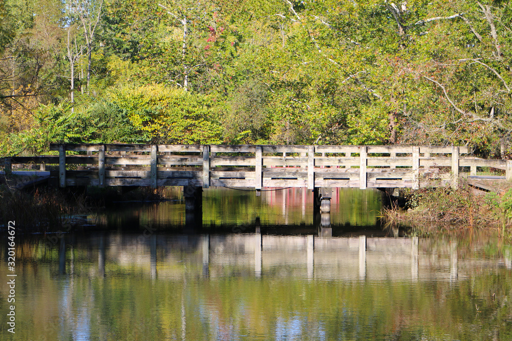 wooden bridge river sunny forest