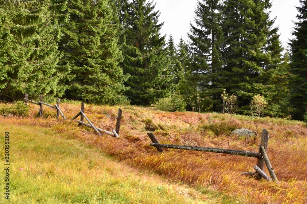 Autumn in national park Sumava - Czech republic Autumn in national park Sumava - Czech republic