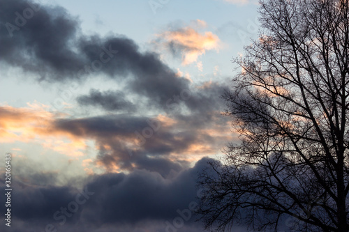 Clouds at sunset behind tree branches