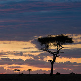 Maasai Mara sunset, Kenya, East Africa