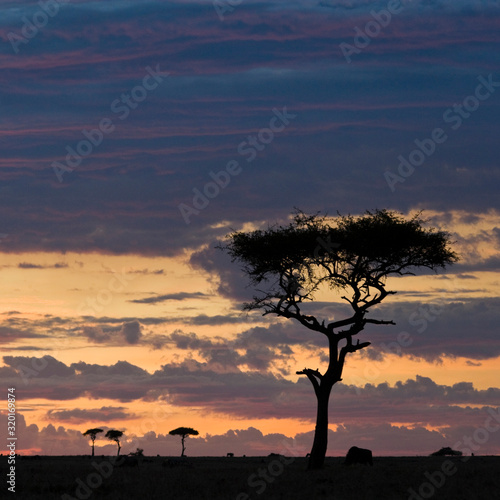 Maasai Mara sunset, Kenya, East Africa © A Linscott