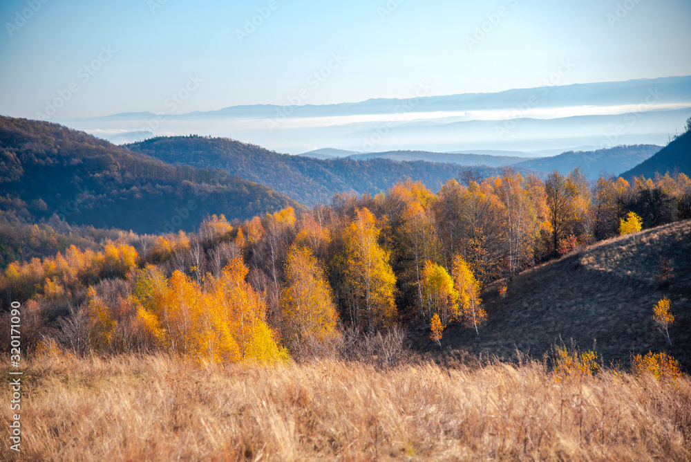 Autumn landscape Autumn landscape