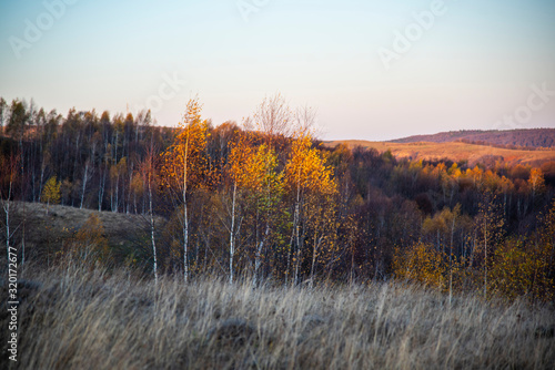 Autumn landscape  © Ivanica