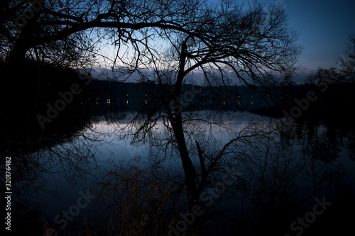 Trees over the lake at night. © Max