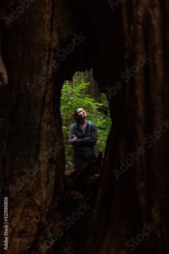 Woman Framed by Hole in Tree Trunk