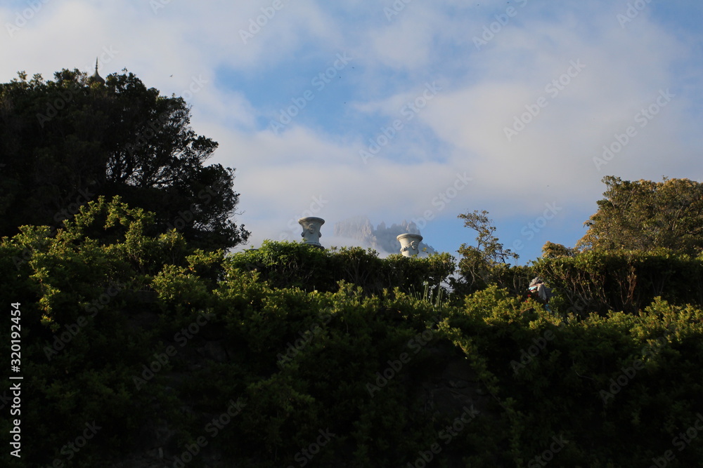 Obraz premium landscape with trees and clouds