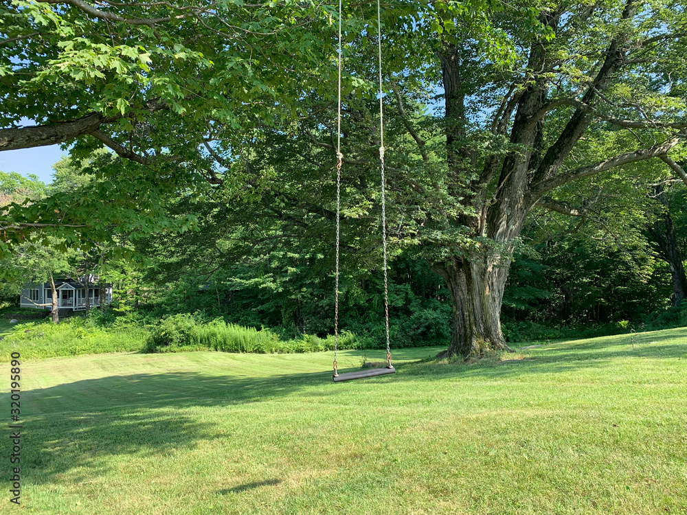 country tree swing