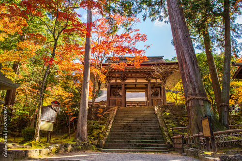 日本の秋 滋賀 湖東三山 西明寺⑰ 　Autumn in Japan, Shiga Prefecture, Koto-sanzan Saimyoji Temple #17 photo