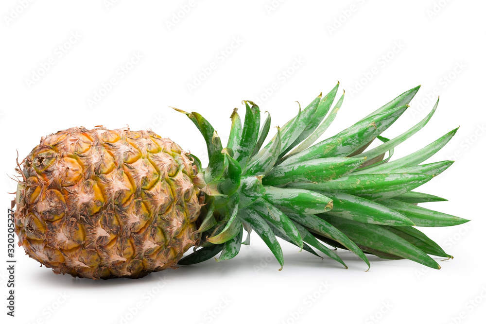 Ripe pineapple isolated on white with clipping path. Ripe pineapple isolated on white with clipping path.