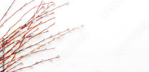 Willow branches, easter spring white background, top view