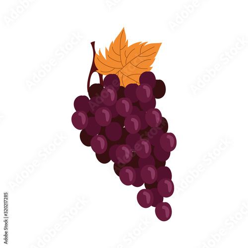 grapes fresh fruits isolated icon