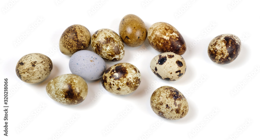Obraz premium Spotted quail eggs on a white surface