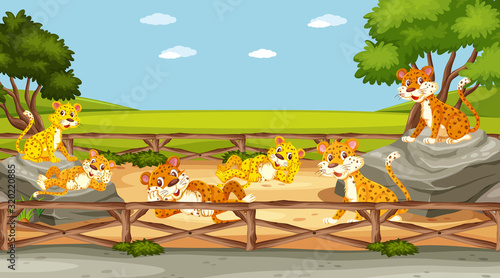 Scene with wild animals in the zoo at day time