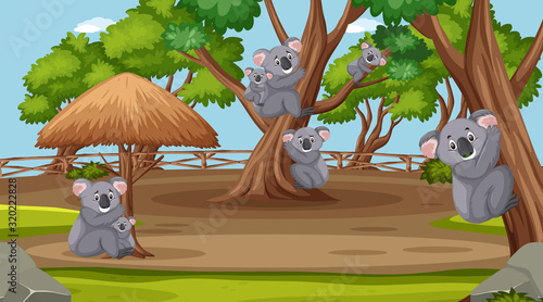 Scene with wild animals in the zoo at day time