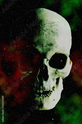 Human skull on the background of outer space.