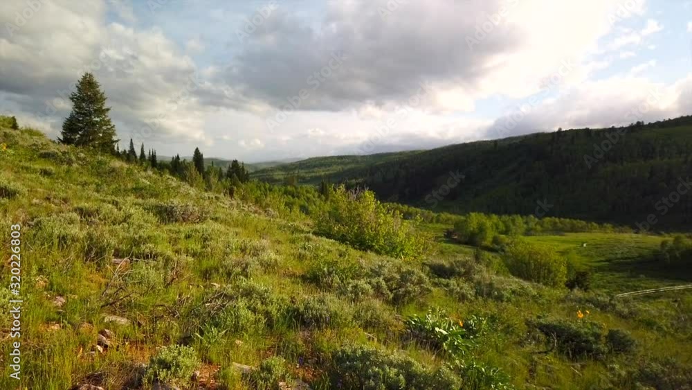 A panoramic view of a green meadow with a pond in the middle of it. Trees and a green mountain are in view. (slow motion) A panoramic view of a green meadow with a pond in the middle of it. Trees and a green mountain are in view. (slow motion)