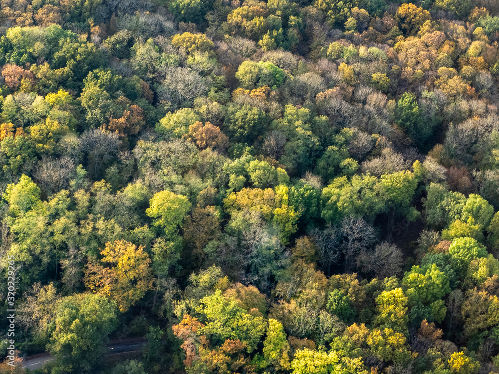 vue aérienne de la forêt à l'automne à Mézy-sur-Seine dans les Yvelines en France