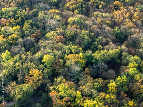 vue aérienne de la forêt à l'automne à Mézy-sur-Seine dans les Yvelines en France © Francois