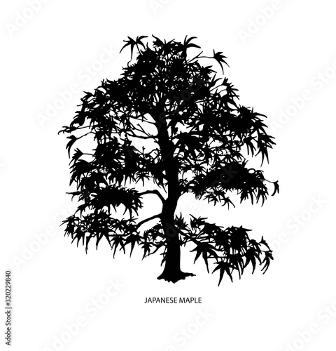 Tree silhouette icons on white background. Japanese bonsai silhouette . Vector