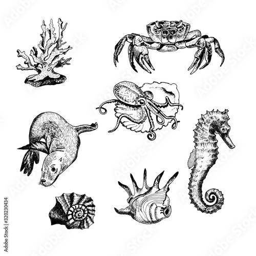 Ocean Life and Marine Creatures with Navy Seal and Seahorse Vector Set