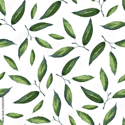 Pattern with green leaves. Watercolor drawing
